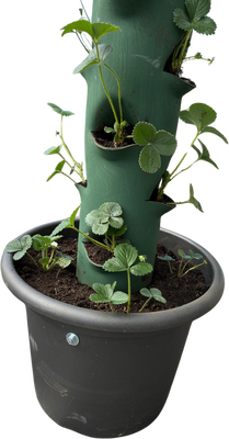 Tubo Macetero Vertical Fresas Artesanal